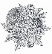 Image result for Purple Chrysanthemum