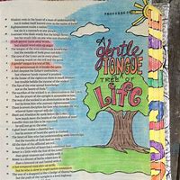 Image result for 30-Day Bible Challenge