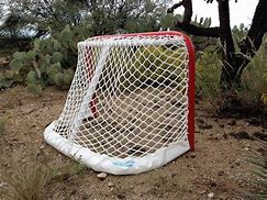 Image result for Authentic Hockey Goal