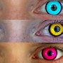 Image result for Halloween Contact Lenses