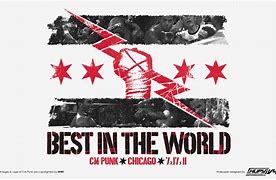 Image result for CM Punk Best in the World