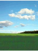 Image result for Blue Sky Greengrass