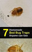 Image result for DIY Bed Bug Traps