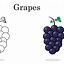 Image result for Grapes Coloring