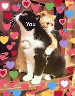 Image result for Cat Meme Emoji in Love