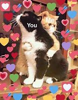 Image result for Cute Cat Couple Memes