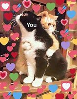 Image result for Meme Cat with Support Love