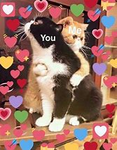 Image result for Love Kitty Cat Meme