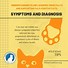 Image result for Feline Leukemia Symptoms in Cats