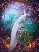 Image result for Magic Peacock