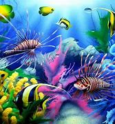 Image result for Free Moving Fish Screensavers