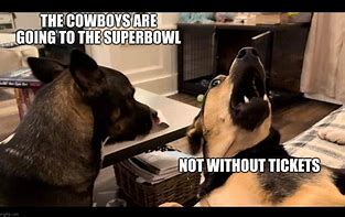 Image result for cowboys dogs meme