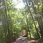 Image result for North Augusta Greenway SVG