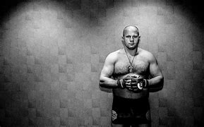 Image result for Top Heavyweight MMA Fighters
