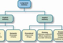 Image result for Memory Process