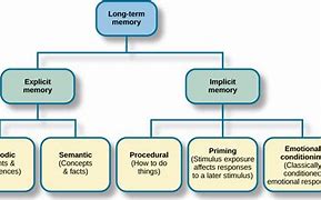 Image result for Institute Memory