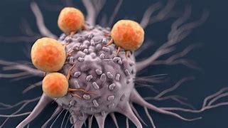 Image result for G4 vs G3 Immunotherapy