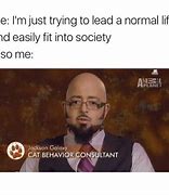 Image result for Jackson Galaxy Meme