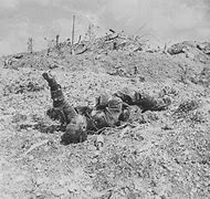 Image result for Verdun Dead