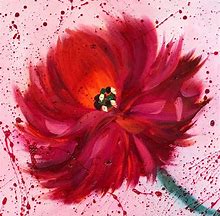 Image result for Drawings of Red Flowers