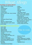 Image result for Vegetarian Diet including Eggs and Dairy