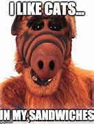 Image result for Alf Meme