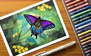 Image result for Butterfly Senior with Oil Pastel