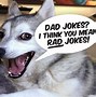 Image result for Dad Joke Dog Meme