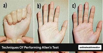 Image result for PPL with High Test Hands