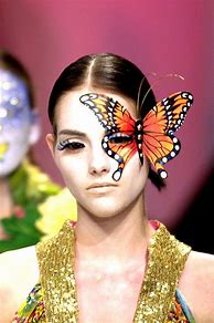 Image result for Papillon Aesthetic