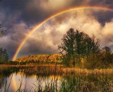 Image result for Bing Images Rainbows
