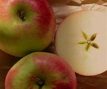 Image result for English Apple Varieties