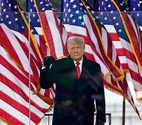 Image result for Donald Trump American Flag