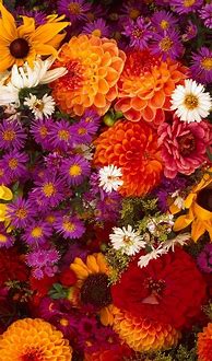 Image result for Abstract Flower iPhone Wallpaper