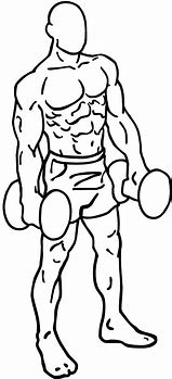 Image result for Full Body Workout with Dumbbells