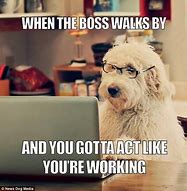 Image result for Animals at Work Meme