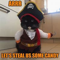 Image result for Adventurous Pirate Cat Meme