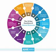 Image result for How to Work T HR