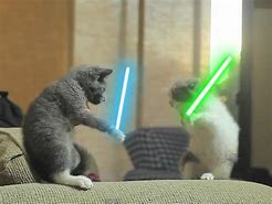 Image result for Star Wars Kittens