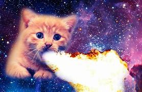 Image result for Space Cat Wallpaper 1920X1080