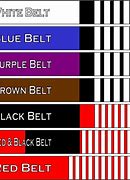 Image result for Adult Jiu Jitsu Belts