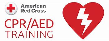 Image result for American Red Cross First Aid CPR/AED Training