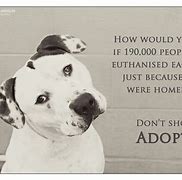 Image result for Animal Adoption Quotes