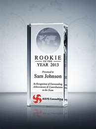 Image result for Rookie of the Year Award