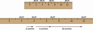 Image result for How Many Inches Is 10 Cm