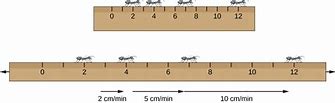 Image result for How Many Inches Is 10 Cm