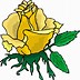 Image result for Yellow Roses Clip Art