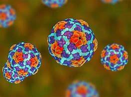 Image result for HBV Virus