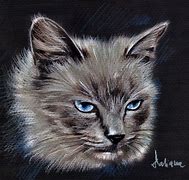 Image result for Cute Kitten Drawings Pencil