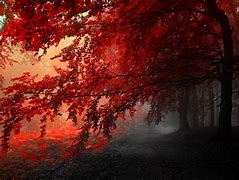 Image result for Red Wallpaper 4K 1920X1080